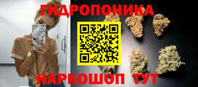амф Ливны
