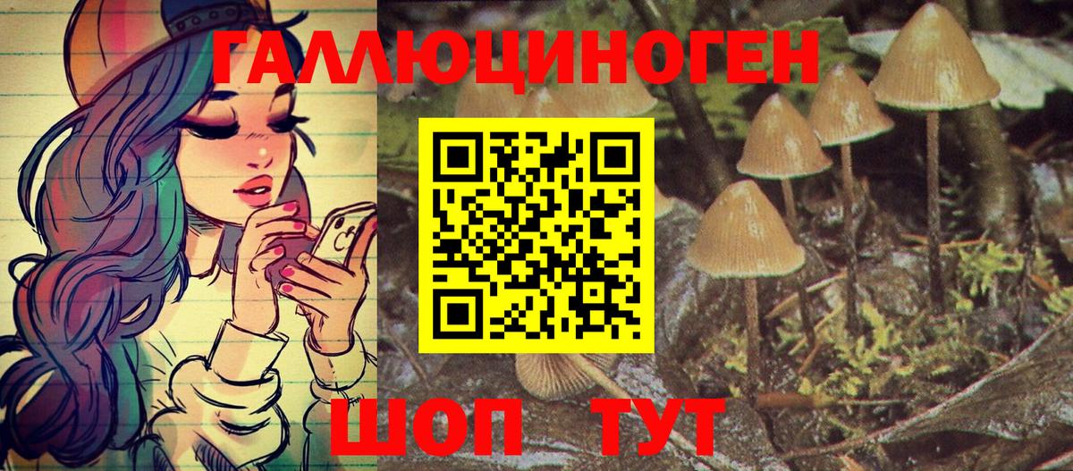 Псилоцибиновые грибы Psilocybine cubensis Железноводск